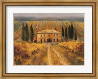 Toscana Vigna Special Fine Art Print