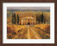 Toscana Vigna Special Fine Art Print