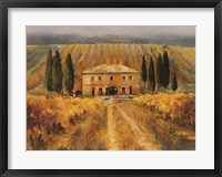 Toscana Vigna Special Fine Art Print