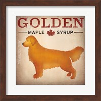 Golden Dog at Show No VT Fine Art Print