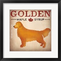 Golden Dog at Show No VT Framed Print