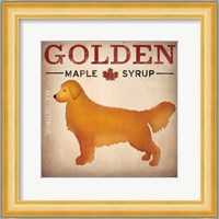 Golden Dog at Show No VT Fine Art Print