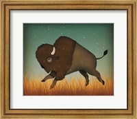 Buffalo Bison II Fine Art Print