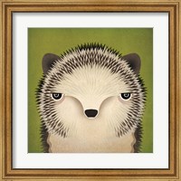 Baby Hedgehog Fine Art Print