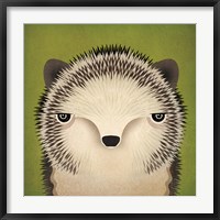 Baby Hedgehog Fine Art Print