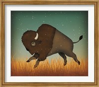 Buffalo Bison II Fine Art Print