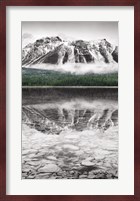 Waterfowl Lake Panel II BW with Color Fine Art Print