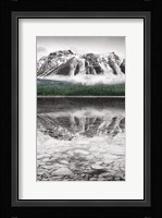 Waterfowl Lake Panel II BW with Color Framed Print