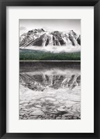 Waterfowl Lake Panel II BW with Color Framed Print