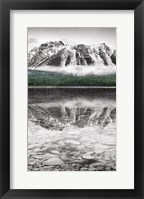 Waterfowl Lake Panel II BW with Color Framed Print