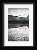 Waterfowl Lake Panel I BW with Color Framed Print