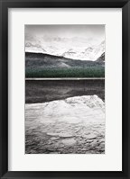 Waterfowl Lake Panel I BW with Color Framed Print