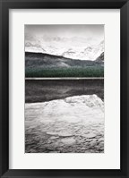Waterfowl Lake Panel I BW with Color Framed Print