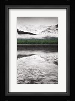 Waterfowl Lake Panel III BW with Color Framed Print