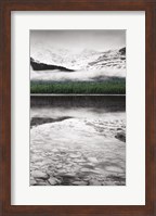Waterfowl Lake Panel III BW with Color Fine Art Print