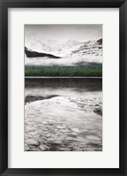 Waterfowl Lake Panel III BW with Color Framed Print