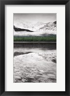Waterfowl Lake Panel III BW with Color Framed Print