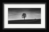 In the Distance Framed Print