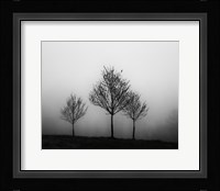 In the Fog Crop Fine Art Print