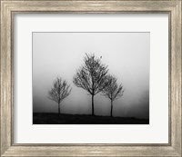 In the Fog Crop Fine Art Print