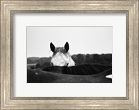 Flirt Fine Art Print