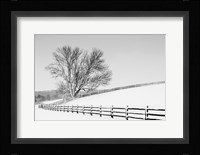 Along the Lane II Fine Art Print