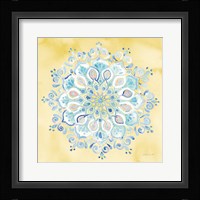 Jaipur VII Framed Print