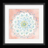 Jaipur V Framed Print