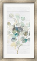 Eucalyptus III on Shiplap Crop Fine Art Print