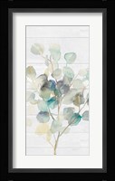 Eucalyptus III on Shiplap Crop Fine Art Print