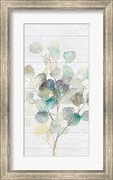 Eucalyptus III on Shiplap Crop Fine Art Print