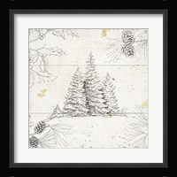 Wild and Beautiful XIII Framed Print