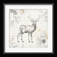 Wild and Beautiful X Framed Print