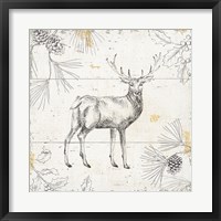 Wild and Beautiful X Framed Print