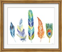 Rainbow Feathers III Fine Art Print