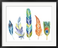Rainbow Feathers III Fine Art Print