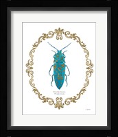 Adorning Coleoptera VIII Framed Print