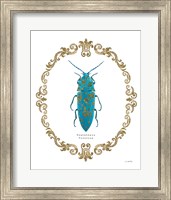 Adorning Coleoptera VIII Fine Art Print