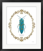 Adorning Coleoptera VIII Fine Art Print