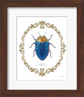 Adorning Coleoptera V Fine Art Print