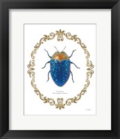 Adorning Coleoptera V Fine Art Print