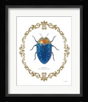 Adorning Coleoptera V Fine Art Print