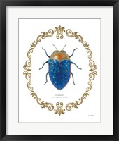Adorning Coleoptera V Framed Print