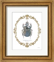 Adorning Coleoptera IV Fine Art Print