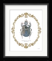 Adorning Coleoptera IV Fine Art Print