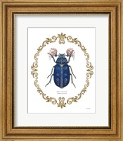 Adorning Coleoptera III Fine Art Print