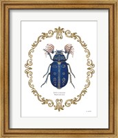 Adorning Coleoptera III Fine Art Print