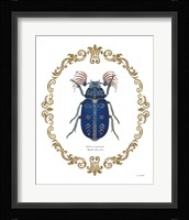 Adorning Coleoptera III Fine Art Print