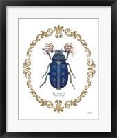 Adorning Coleoptera III Framed Print