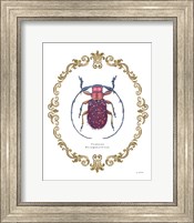 Adorning Coleoptera II Fine Art Print